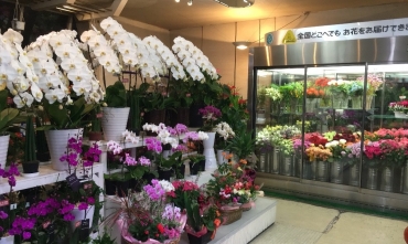 「フローリストサトウ」　（大分県大分市）の花屋店舗写真3