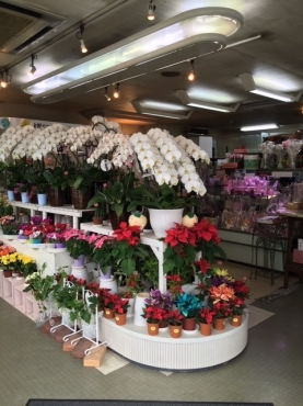 「フローリストサトウ」　（大分県大分市）の花屋店舗写真4